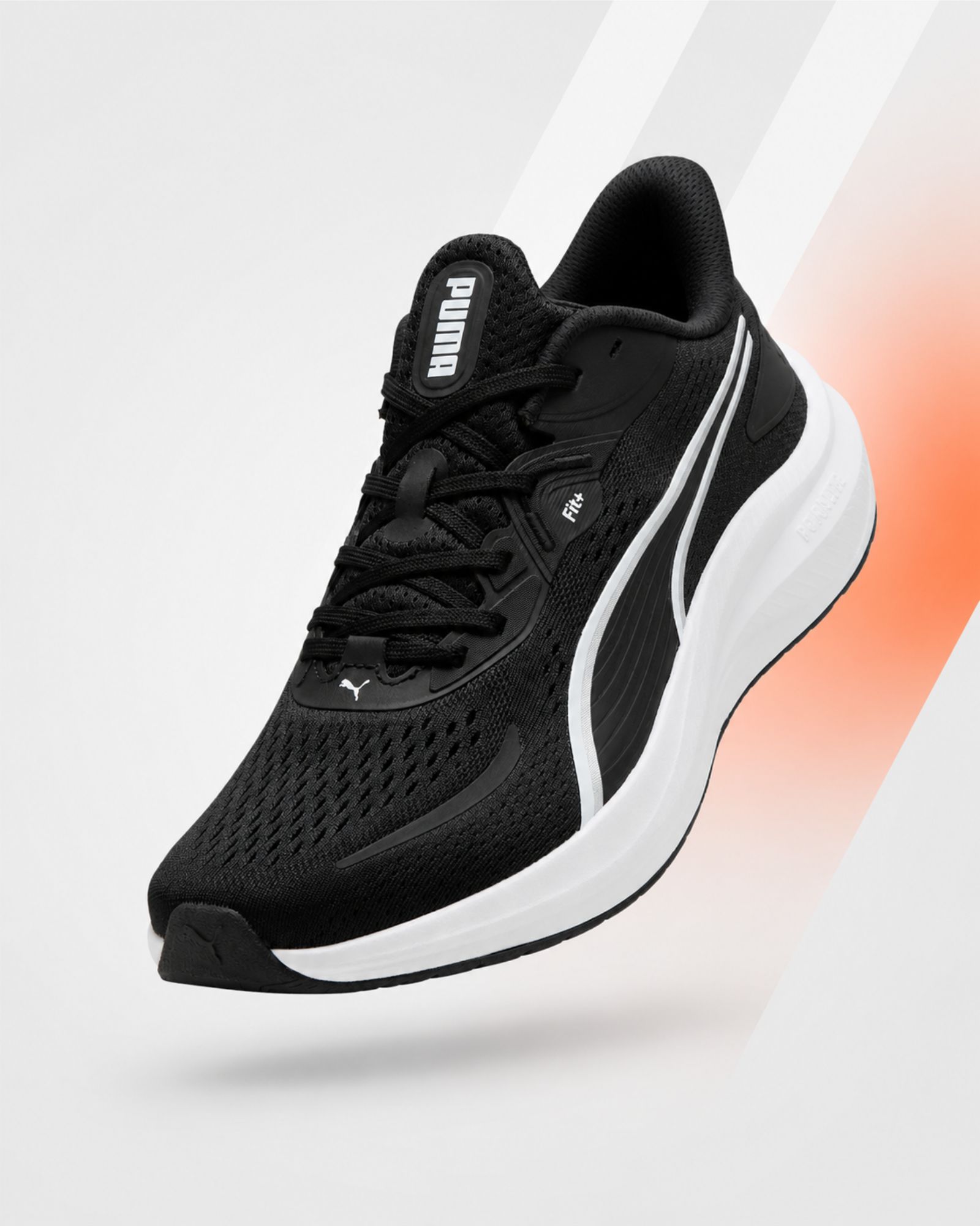 Colección de tenis para hombre